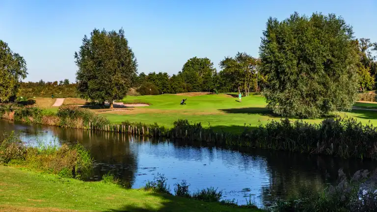 Vergaderarrangementen